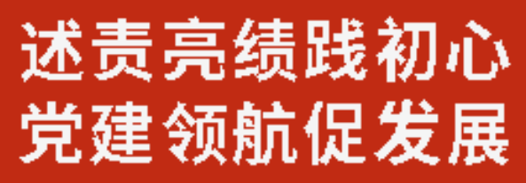 述責(zé)亮績踐初心 黨建領(lǐng)航促發(fā)展丨廣元外國語學(xué)校黨委召開2025年度黨支部書記述職大會